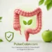 PulseColon.com: Your Complete Guide to Colon Health and Digestive Wellness 2026 9 What is PulseColon.com