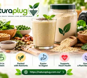 Is Plant-Based Protein Powder Good
