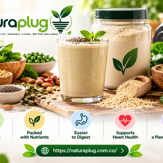 Is Plant-Based Protein Powder Good