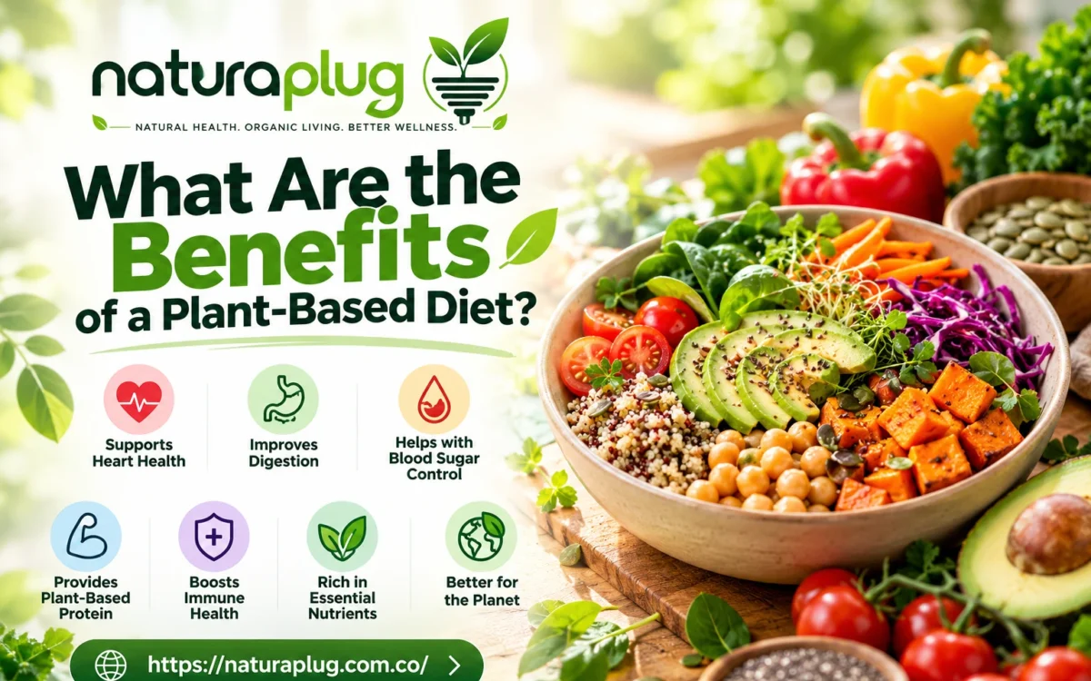 What Are the Benefits of a Plant-Based Diet? 2 naturaplug.com What Are the Benefits of a Plant-Based Diet
