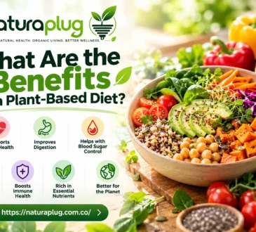 naturaplug.com What Are the Benefits of a Plant-Based Diet