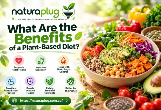 naturaplug.com What Are the Benefits of a Plant-Based Diet