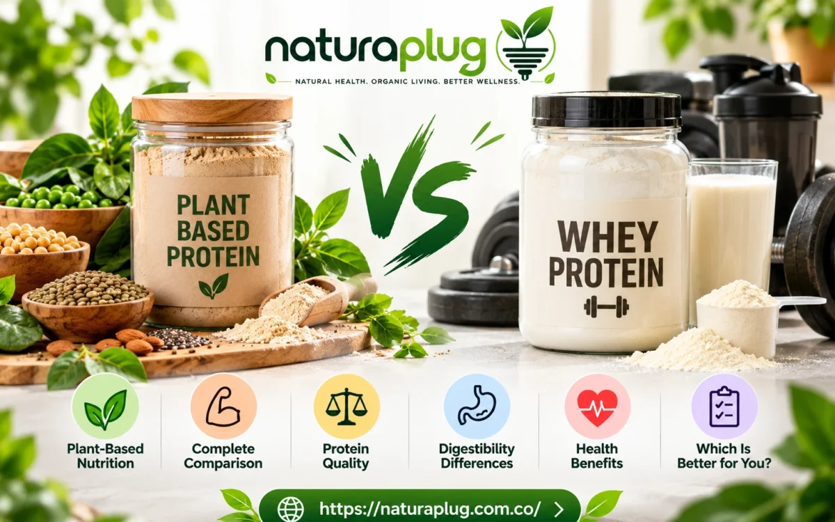 Plant Based Protein vs Whey: Which Is Better? 2 Plant Based Protein vs Whey: Which Is Better?