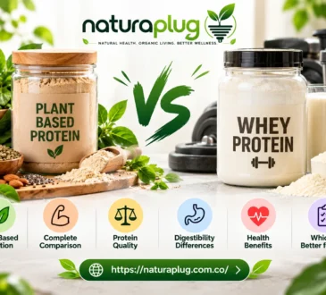 Plant Based Protein vs Whey: Which Is Better?