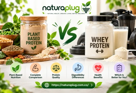 Plant Based Protein vs Whey: Which Is Better?